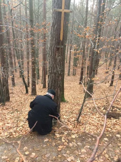 teflonzpatelnimismakuje - W tej sprawie pamietajmy, ze podczas dochodzenia zaraz po z...