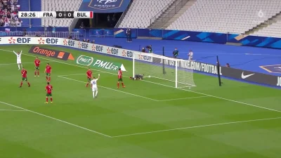 P.....z - Antoine Griezmann, Francja - Bługaria 1:0 

Chłop co wsadził 
#golgif