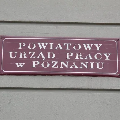 negroni - #tenis no cóż Iga pora sie wziac za prawdziwa prace a nie piłeczka i paletk...