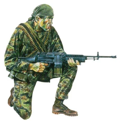 KapiBara1337 - Jaca powinien dostać strój wietnamskiego żołnierza ( ͡° ͜ʖ ͡°)
#danie...