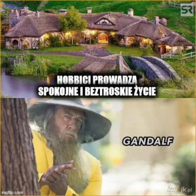 P.....s - #memy #heheszki #humorobrazkowy #lotr