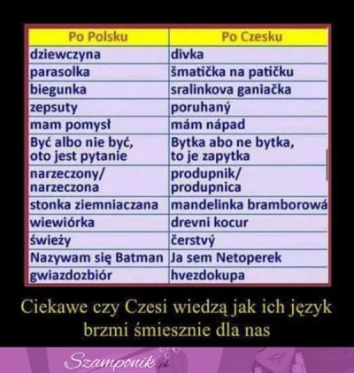 januszzczarnolasu - "Komunikacja z Czechami bywa bardzo trudna" ( ͡° ͜ʖ ͡°)