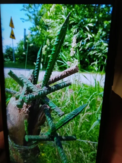 Tros - Tak się bawią na podlasiu w koszenie trawy. 
SPOILER