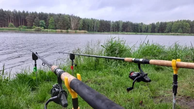 NiebieskaOsa - Miłego dnia wszystkim ( ͡º ͜ʖ͡º)
Ciekawe czy słońce wyjdzie bo narazie...