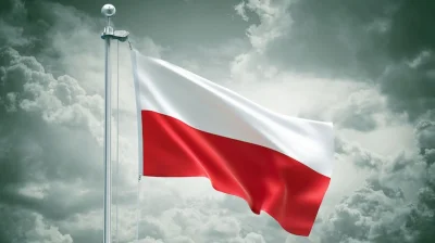 KapiBara1337 - Będzie dobrze, Polacy do boju!! :)
#mecz #reprezentacja #euro #polska