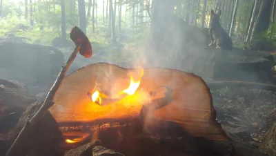 wspomnienieciszy - #ognisko #trekking #wiosna 
Przytargalem z doliny plaster drewna....