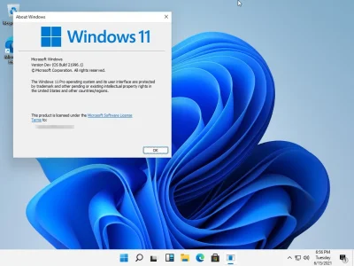 AdrianJ - #windows11 #windows #microsoft