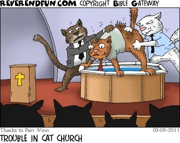 Radysh - #religie bo jest jeden obserwujący #smieszneobrazki #koty
I już!