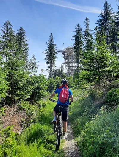 shudini - Ale mi się ładna pogoda na #singletrack trafiła.