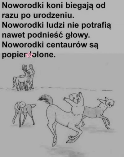 CzegoTyKrzyczyszKnurze - No dzień dobry Mireczki i Mirabelki. CHRUM
#kononowicz