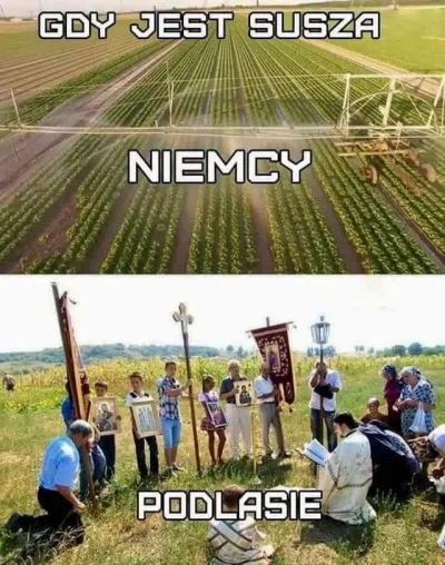 negroni - Ojoj słoneczko w lecie, niespotykane

#pogoda #upaly #polska #rolnictwo #he...