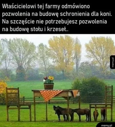 ProstyRolnikZPodlasia - co się nie da jak się da 

#humorobrazkowy #heheszki