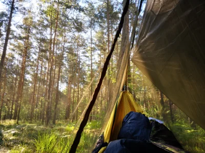 von_Bighausen - Dawno już nie budził mnie taki widok, ale w końcu udało się wyrwać z ...