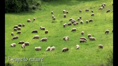 Mieszkopol - Oglądając wczorajsze mecze, widziałem lekką różnicę w stylu komentowania...