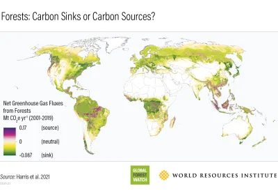 anadyomenel - @Sylwira: Całkowita ilość wiązanego w lasach CO2 rośnie, choć jak widać...