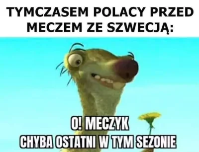 PMV_Norway - #humorobrazkowy #humor #heheszki #mecz