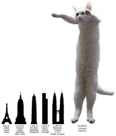 Radysh - @LetMeStay: Longcat. Longcat is long.