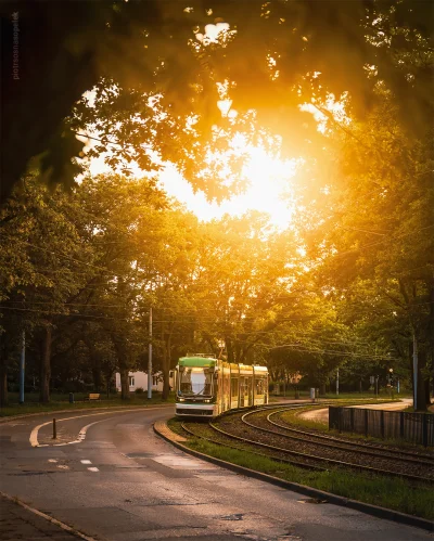 mrsopelek - Dzisiaj mam dla Was biało-zielony tramwaj. Malowanie powstało z okazji 75...