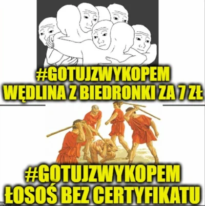 czlowiekzlisciemnaglowie - #heheszki #gotujzwykopem