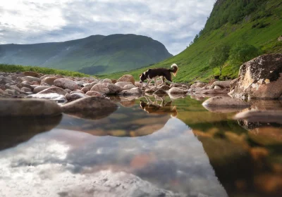 Aenkill - Szeroki kadr z Glen Etive. Mój plan na ten rok to robić zdecydowanie więcej...