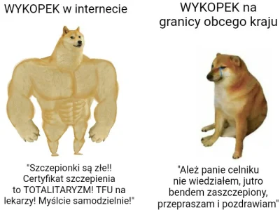 xiv7 - #koronawirus #heheszki #memy #neuropa