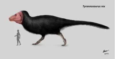 magicznyfred - > Chcesz powiedziec ze tyranozaurus mial piora?

@verul: Wiele wskaz...