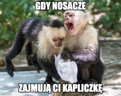 e.....u - #czechy #kapucynki #czeskiememy