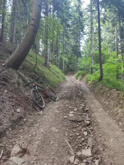 h.....m - Nie mam pojęcia gdzie jestem, ale i tak jest zajebiście
#mtb #rower