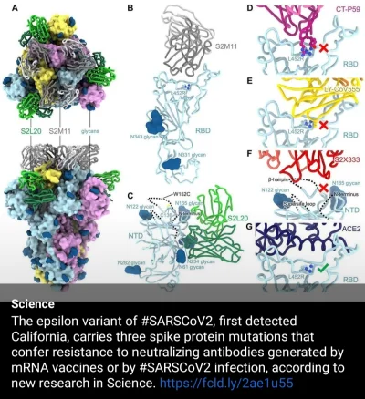 spudrospadreebin - No i mamy już odmianę EPSILON, odporną na szczepionki Pfizera i Mo...