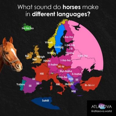 JoeShmoe - Onomatopeja - dźwięk jaki wydaje koń w poszczególnych językach w Europie i...