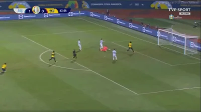 qver51 - Lautaro Martinez, Argentyna - Ekwador 2:0
#golgif #mecz #argentyna #ekwador...