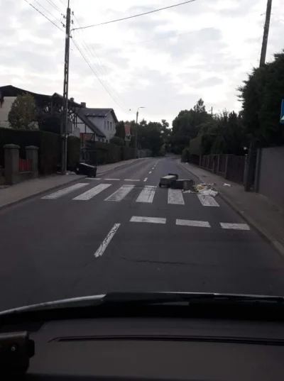 Langusta_Pospolita - Stało się. Dziki zaczynają blokować główne drogi i kto wie do cz...