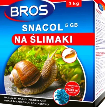 korkyx - @MateuszWajchePrzeloz: Snacol firmy Bros (takie niebieskie knotki). Ślimaki ...