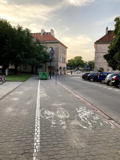 Warzywo - Fajne te ścieżki rowerowe, bo przynajmniej się nie przeszkadza biednym pies...