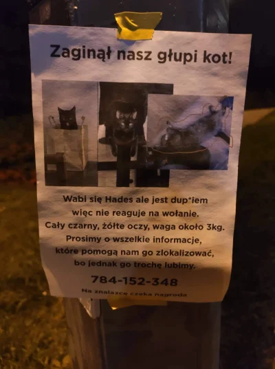 KombajnDoZbieraniaNiosekPoWioskach - #ogloszenie #krakow #koty