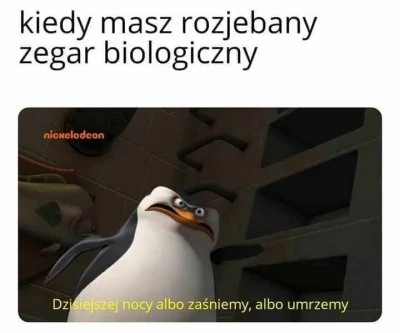 KRZYSZTOFDZONGUN