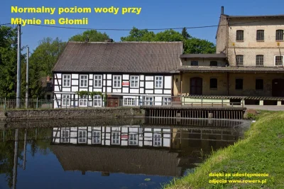 PrzyjacieleDorzeczaGwdy - Normalny poziom wody.