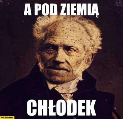 goferek - #schopenhauer