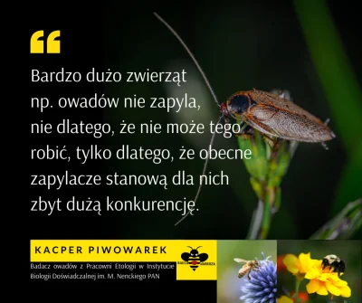 R.....a - #cytatnadzis

"Bardzo dużo zwierząt
np. owadów nie zapyla,
nie dlatego,...