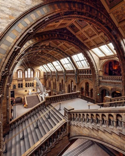 Turnam - Muzeum historii naturalnej w Londynie #zdjecia #ciekawostki