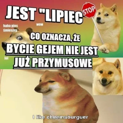 Merli20 - #codziennylipiec najlepszy tag na wykopie przynajmniej dla 8 osób ( ͡~ ͜ʖ ͡...