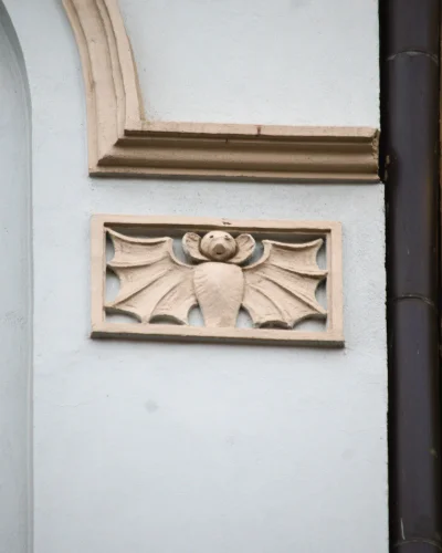 Sudet - Taki nietoperz przysiadł na kamienicy przy ulicy Ruskiej 6

na #wroclawskid...