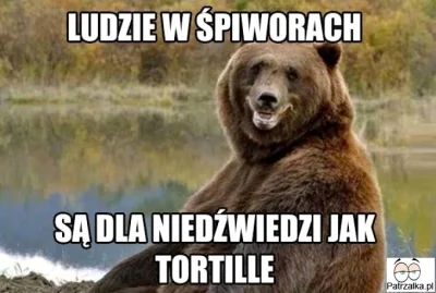 januszzczarnolasu - > Niedźwiedź grizzly zabił kobietę. Wyciągnął ją w nocy z namiotu...