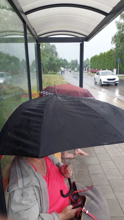 d601 - Siedzą dwie baby na przystanku z parasolka #heheszki ja #!$%@? #pogoda #patolo...