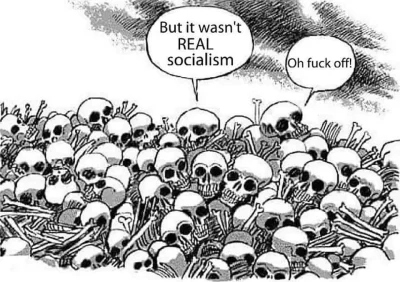 naplasterki - To nie był prawdziwy socjalizm. Brzmi znajomo.
