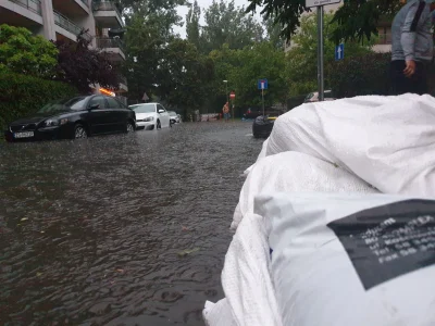 palladni - Kazimierza Królewicza - tym razem sąsiady się przygotowały i mamy w miare ...