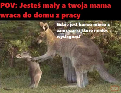 P.....s - #memy #heheszki #humorobrazkowy