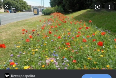 pranko_csv - Powinno się zrobić zawody w koszeniu trawy. 
Np.
Zostawiając dwumetrowe ...