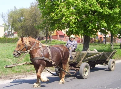 janekkenaj - @januszz_czarnolasu: Zamiast się rozwijać biedota będzie siedzieć przy ś...