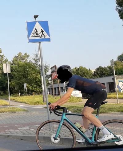 obszarnik - bo krawężnik 2 cm nad asfaltem a tak w ogóle to droga dla rowerów 4 km te...